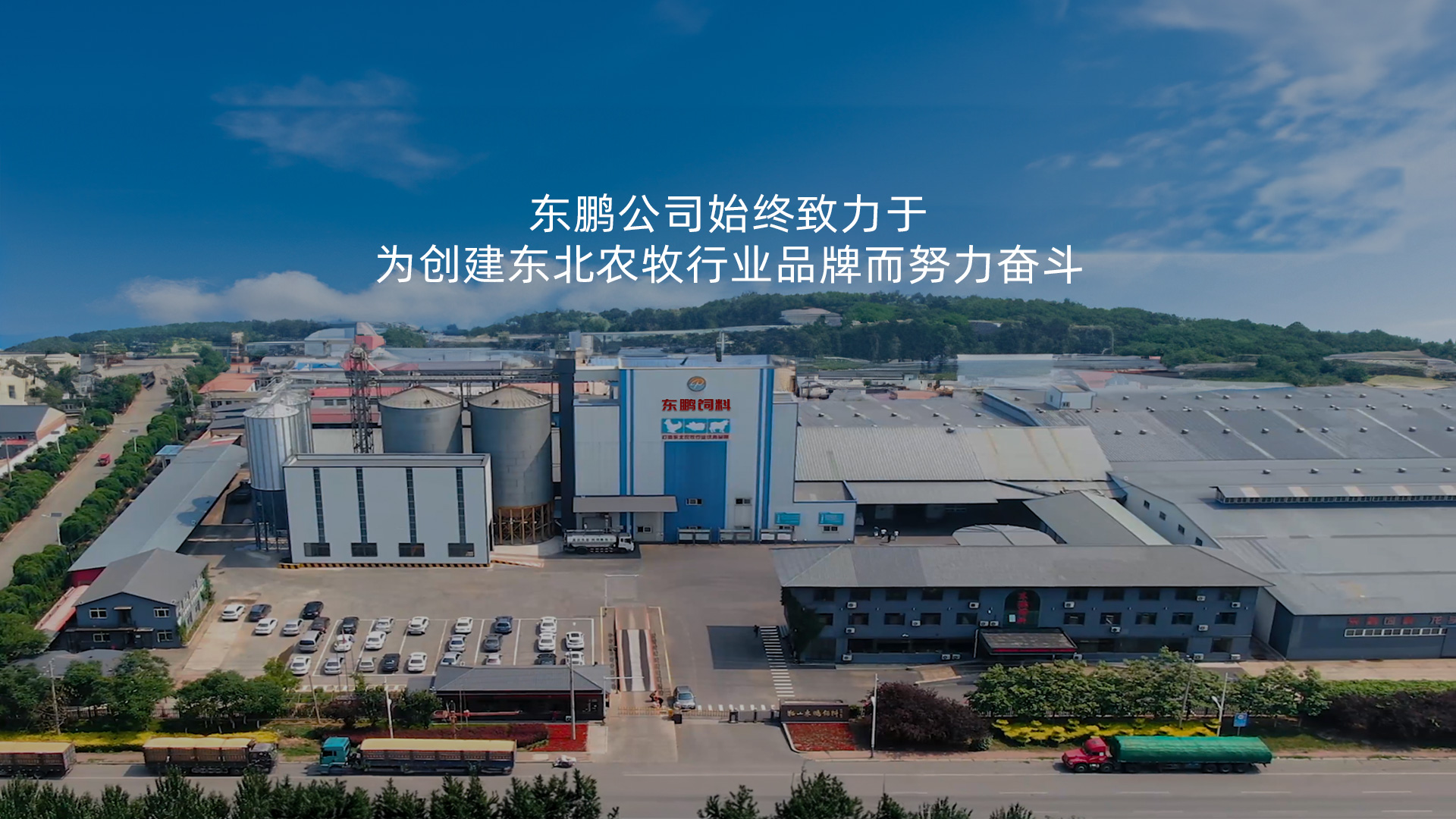 大连饲料
